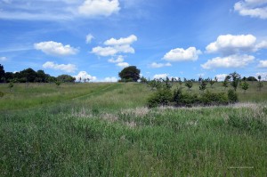 Landschaft in Dortmund-Barop