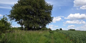 Landschaft in Dortmund-Barop