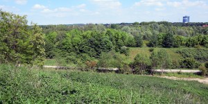 Blick von der Halde Deusenberg