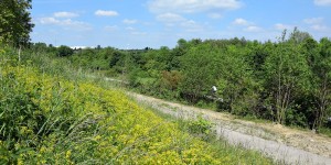 Blick von der Halde Deusenberg