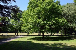 Volkspark Dortmund-Mengede