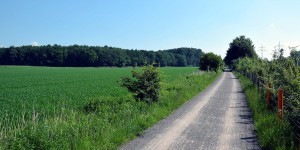 Emscherweg zwischen Brandheide und Emscher