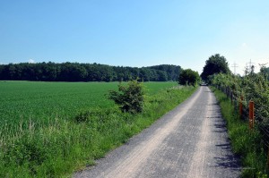 Emscherweg zwischen Brandheide und Emscher
