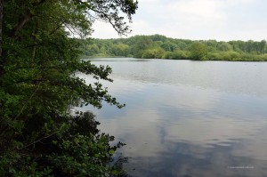 Ewaldsee