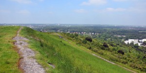 Haldenlandschaft Hoheward