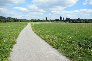 Gehölzgarten Ripshorst