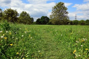 Gehölzgarten Ripshorst