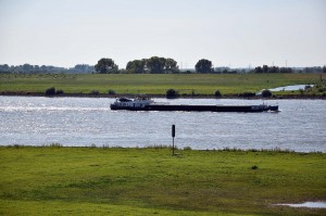 Naturschutzgebiet Rheinaue