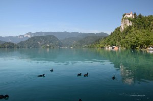 Bleder See