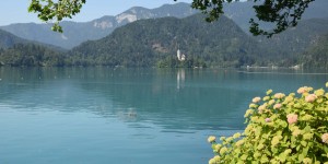 See in Bled