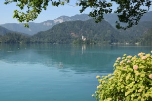 See in Bled