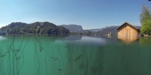 Unter Wasser in Bled