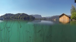 Unter Wasser in Bled