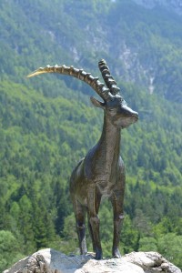 Steinbock