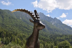 Steinbock