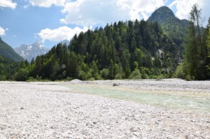 Fluss bei Kranjska Gora