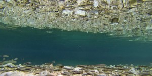 Unter Wasser in Slowenien