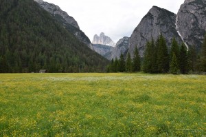 Drei Zinnen in den Dolomiten