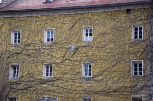 Hausfassade