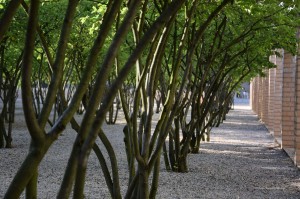 Kleiner Park in Vaduz
