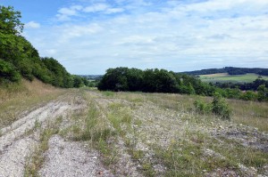 Alte Trasse der Autobahn 4