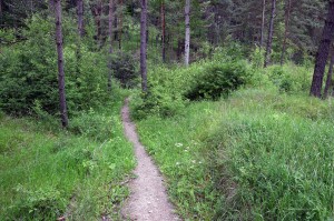 Wanderweg im Jonastal