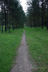 Wanderweg im Jonastal