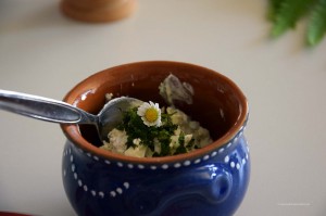 Frischkäsecreme mit Wildkräutern