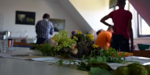 Seminarraum mit Kräuterdeko