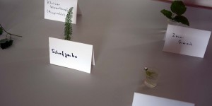 Kräuter mit Beschriftung