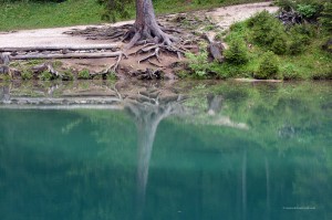 Spiegelung im See