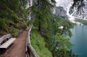 Wanderweg am Pragser Wildsee