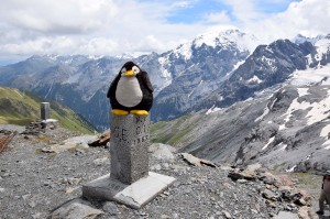 Pingu war auch dabei