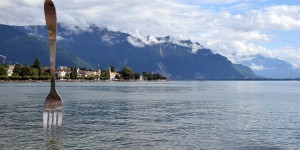 Gabel im Genfer See