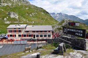 Hotel Grimselblick mit Murmeltierpark