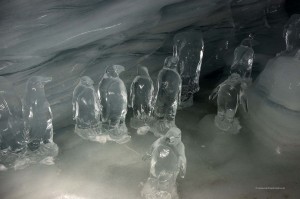 Kleine Pinguine aus Eis