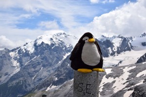 Pingu vor dem Ortler-Massiv