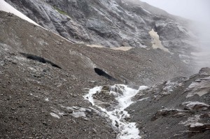 Der Steingletscher ist schwer zu erkennen