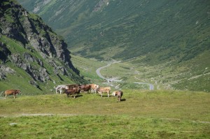 Blick in das Paznauntal