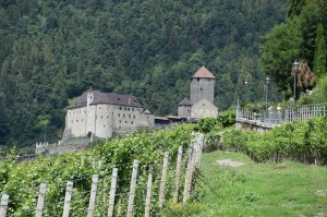 Beim Dorf Tirol