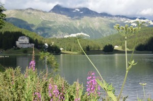 See in St Moritz