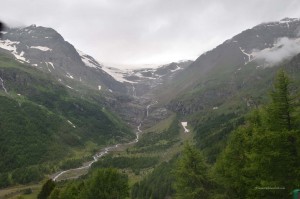 Alp Grüm
