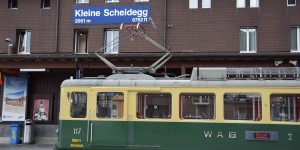 Zug am Bahnhof Kleine Scheidegg