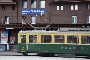 Zug am Bahnhof Kleine Scheidegg
