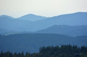 Blick in die Alpen