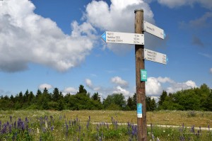 Zahlreiche Wanderwege