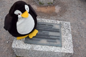 Pingu war auch auf dem Feldberg