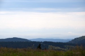Fernblick vom Feldberg