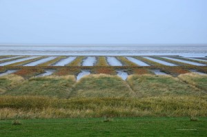 Weltnaturerbe Wattenmeer