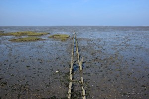 Wattenmeer